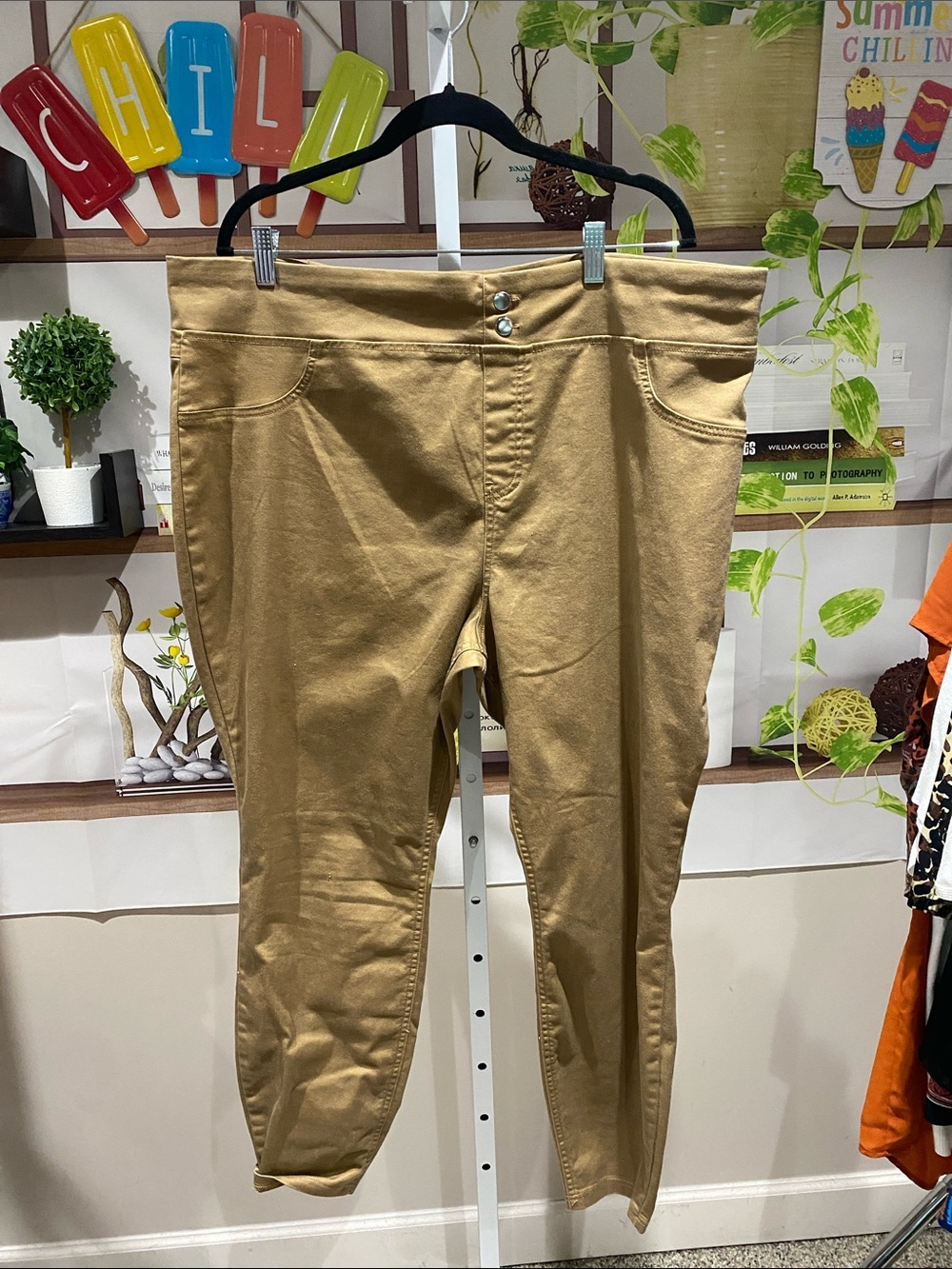 Terra & Sky Tan Stretch Jeggings
